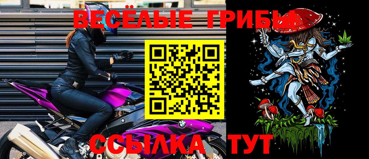 Псилоцибиновые грибы прущие грибы Солнечногорск