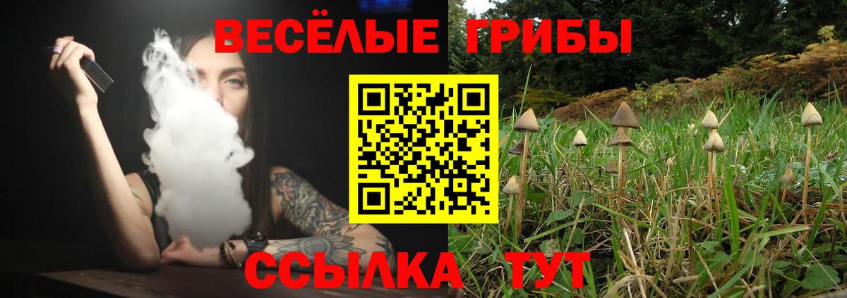 Солнечногорск  Псилоцибиновые грибы MAGIC MUSHROOMS  Псилоцибиновые грибы прущие грибы  Вход с VPN 